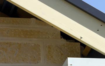 soffit repair Cross Town